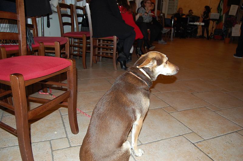 2018_confmilazzo-assemblea (149)